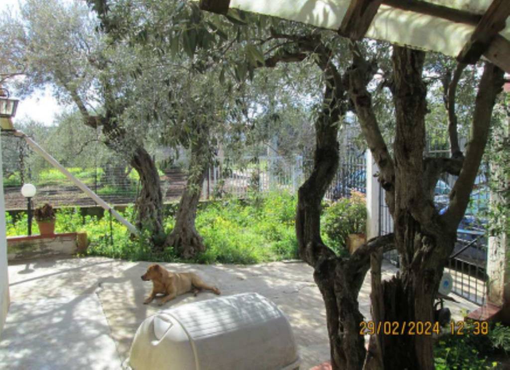 immagine annuncio 3 di 11