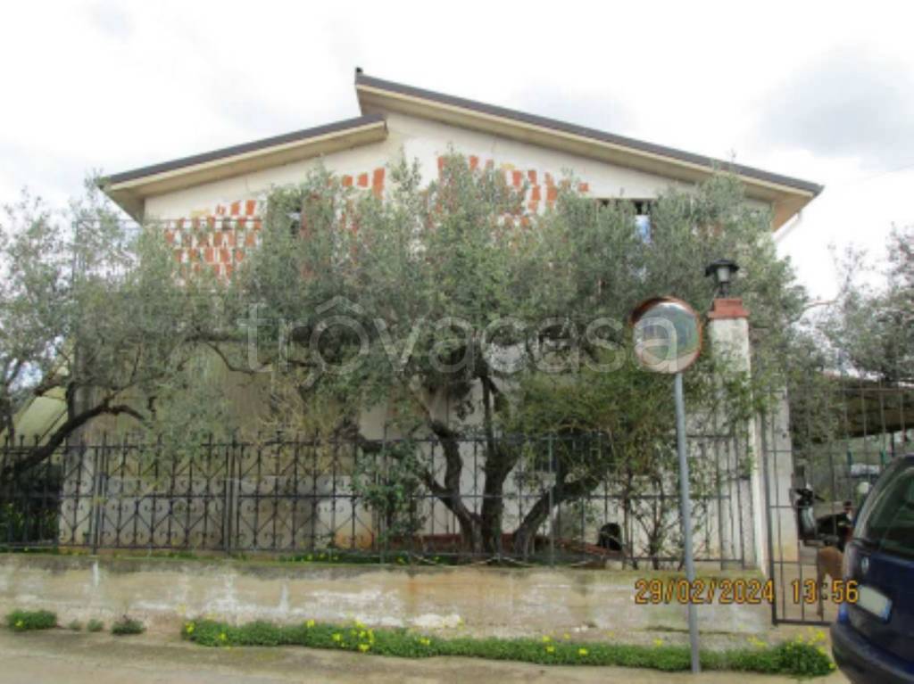 immagine annuncio 2 di 11