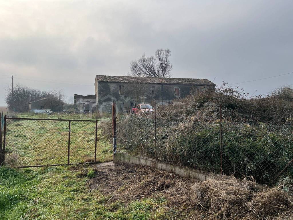 immagine annuncio 2 di 7