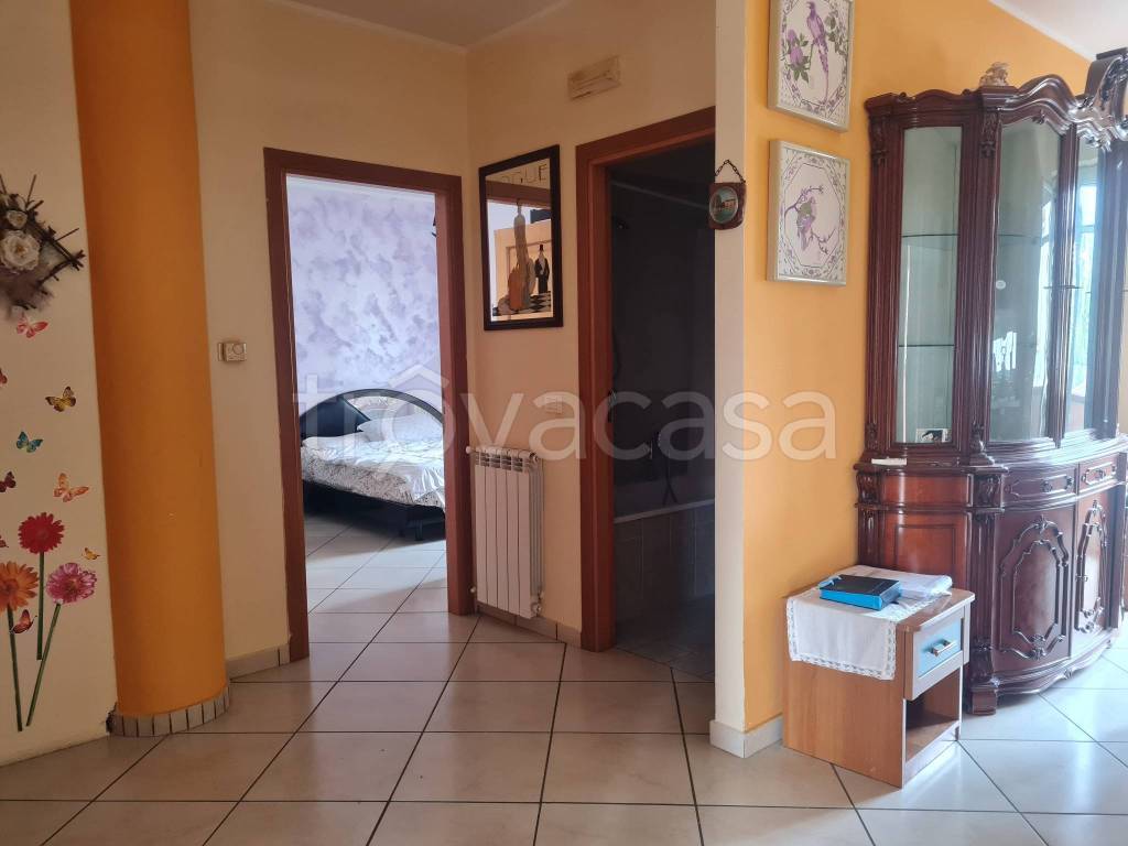 immagine annuncio 1 di 12