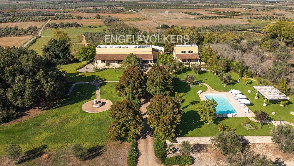 immagine annuncio 10 di 11