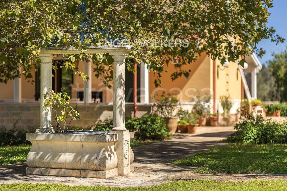 immagine annuncio 5 di 11