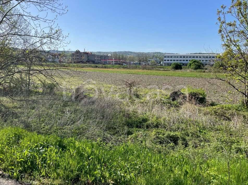 immagine annuncio 1 di 12