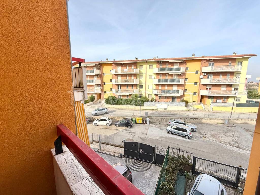 immagine annuncio 10 di 11