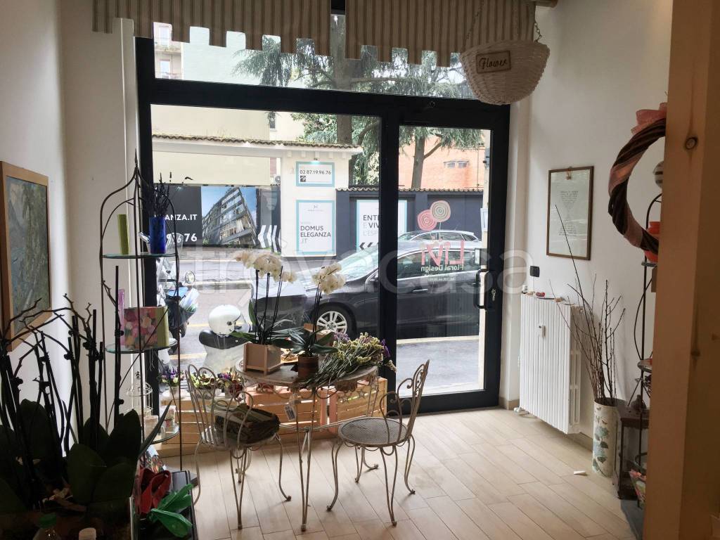 immagine annuncio 2 di 12