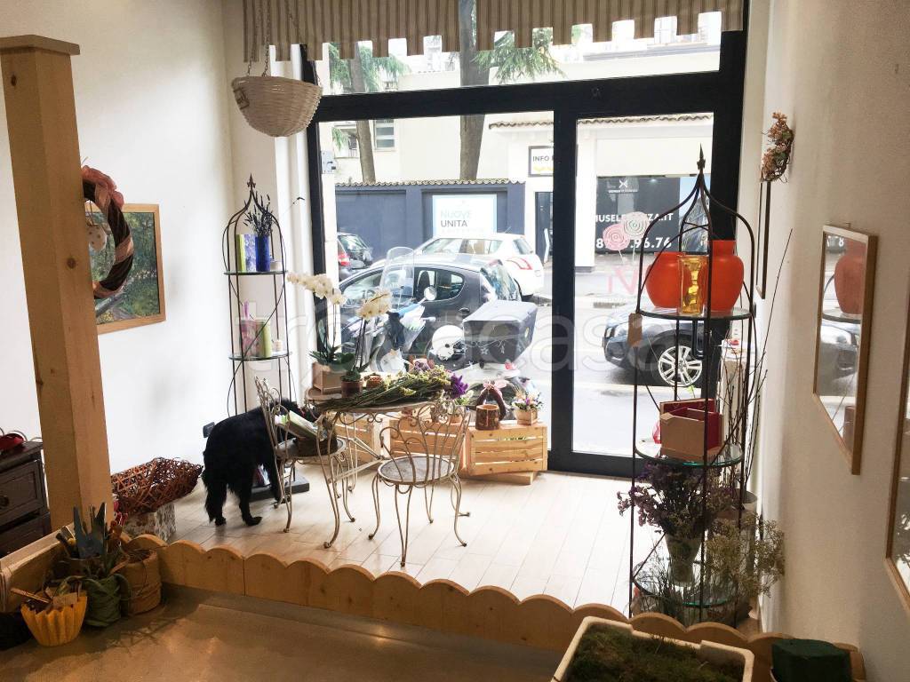 immagine annuncio 8 di 12