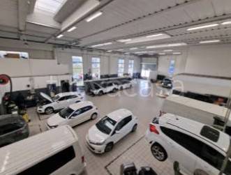 immagine annuncio 8 di 12