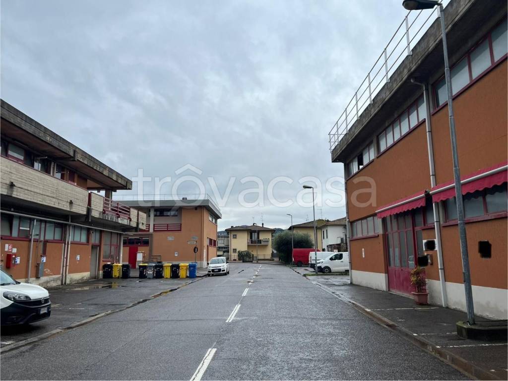 immagine annuncio 4 di 11