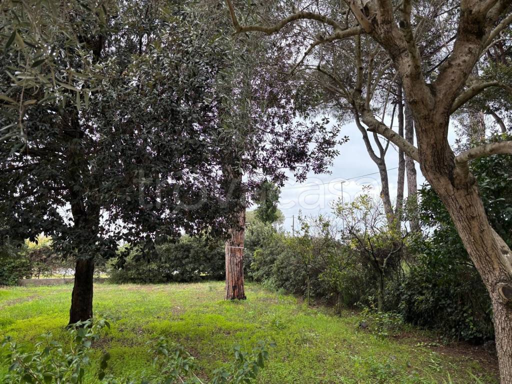 immagine annuncio 4 di 14