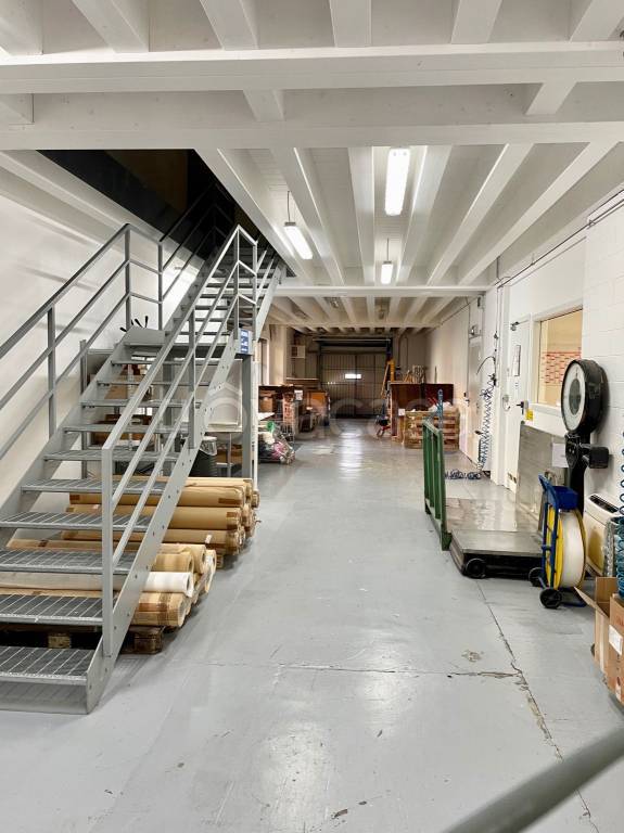 immagine annuncio 10 di 15