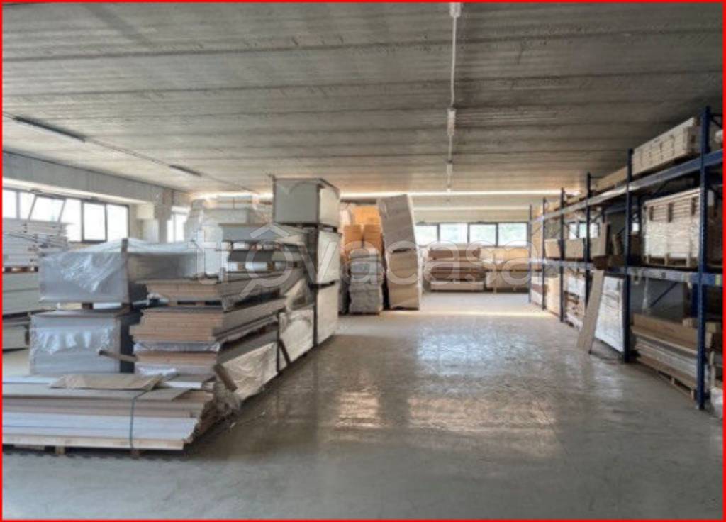 immagine annuncio 4 di 12