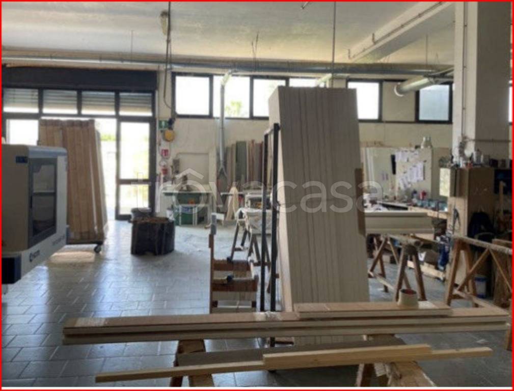 immagine annuncio 9 di 12