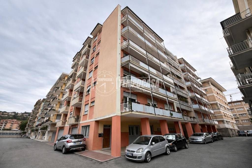 immagine annuncio 3 di 11