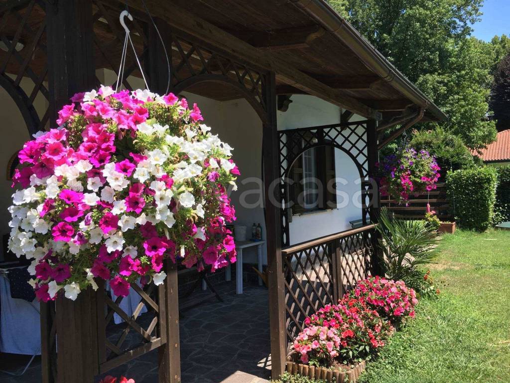 immagine annuncio 7 di 15