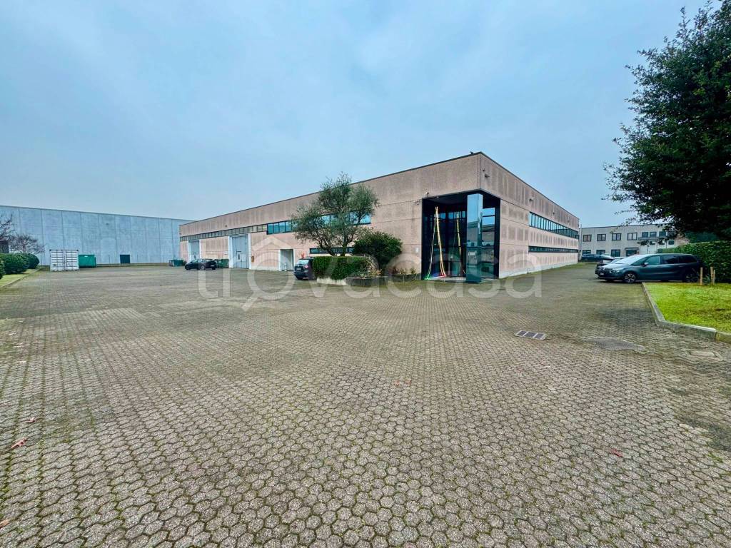 immagine annuncio 11 di 15