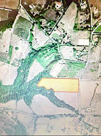 immagine annuncio 6 di 9