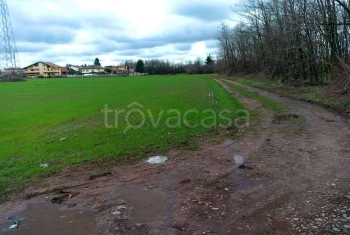 immagine annuncio 5 di 14