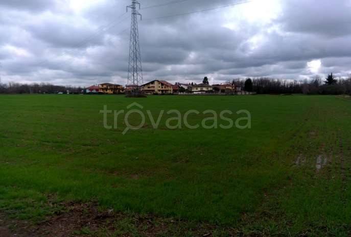 immagine annuncio 6 di 14