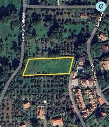 immagine annuncio 1 di 7