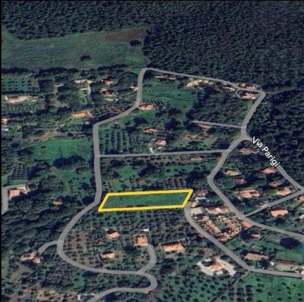 immagine annuncio 2 di 7