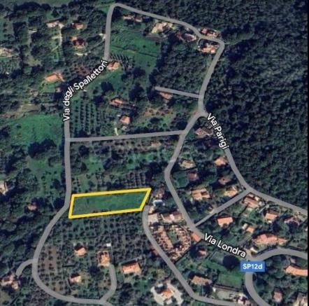 immagine annuncio 3 di 7