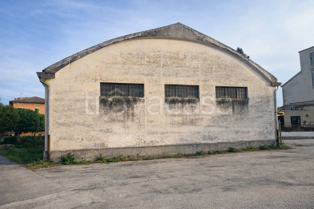 immagine annuncio 2 di 4