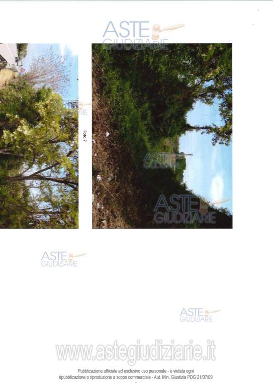 immagine annuncio 6 di 9