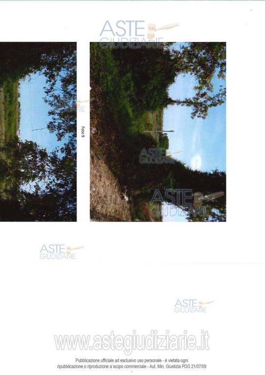 immagine annuncio 7 di 9