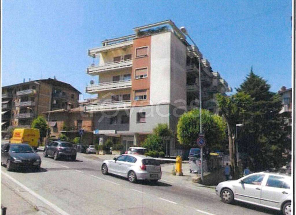 immagine annuncio 2 di 12