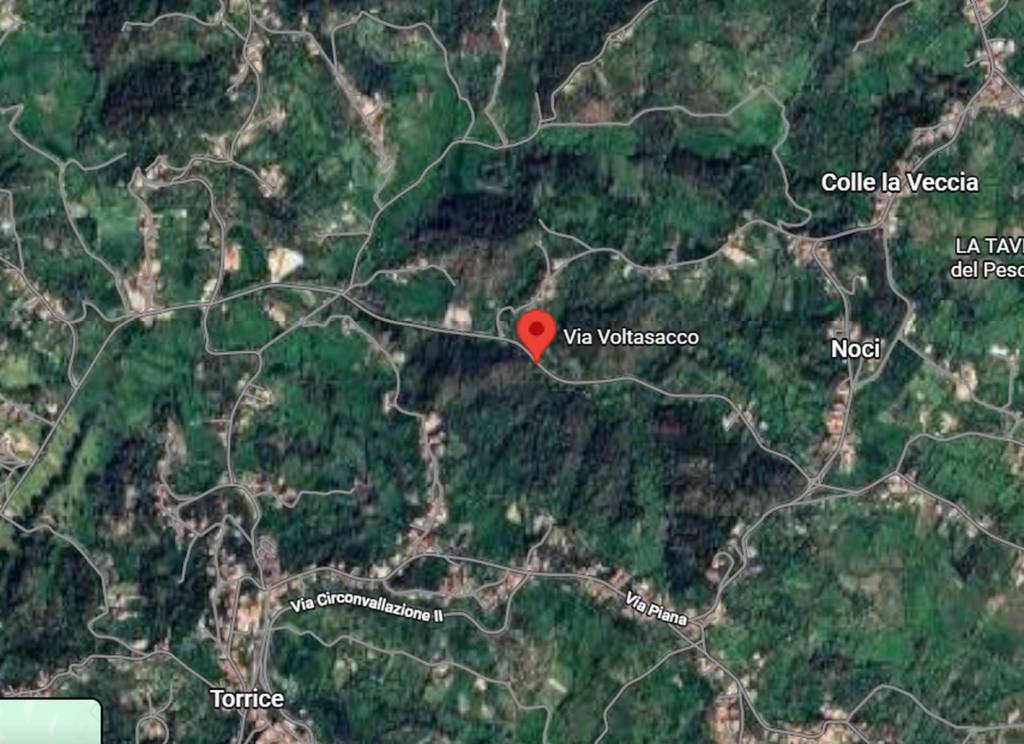 immagine annuncio 2 di 11