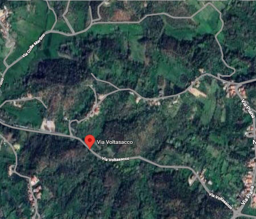 immagine annuncio 3 di 11