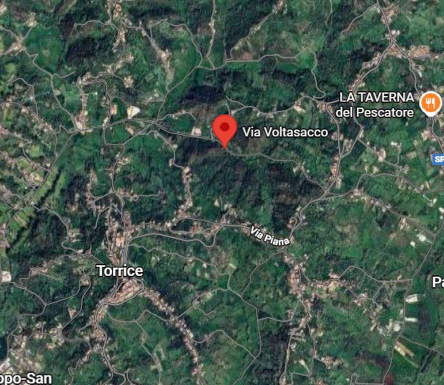 immagine annuncio 4 di 11