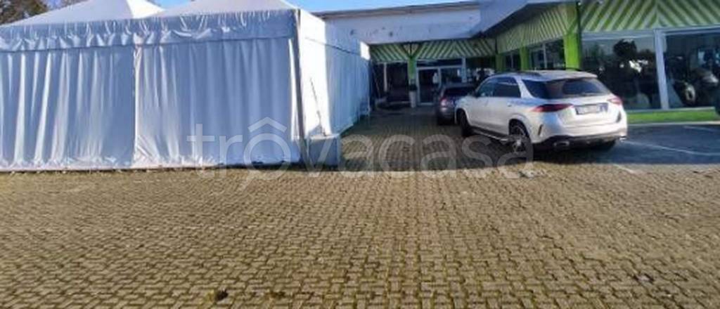 immagine annuncio 3 di 11