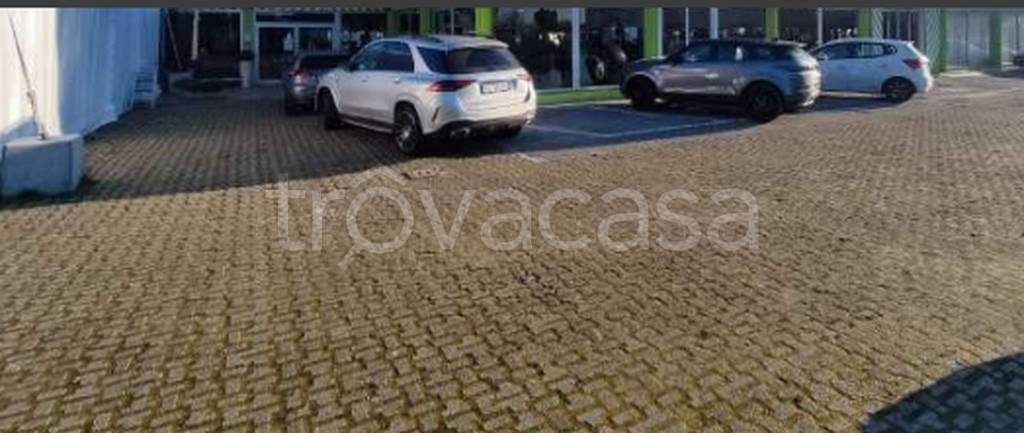 immagine annuncio 4 di 11