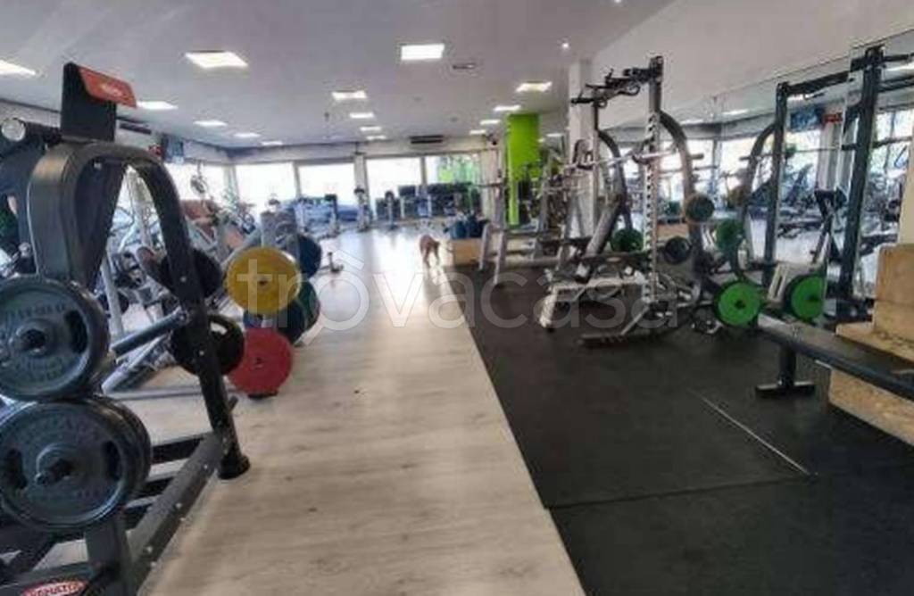 immagine annuncio 9 di 11