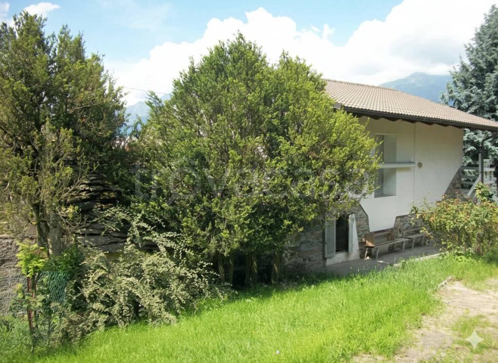 immagine annuncio 2 di 12