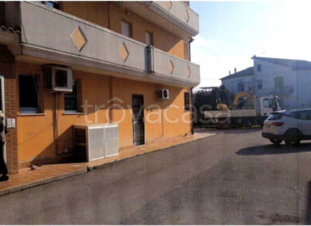 immagine annuncio 2 di 11