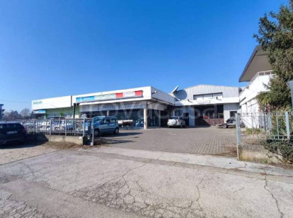 immagine annuncio 7 di 15