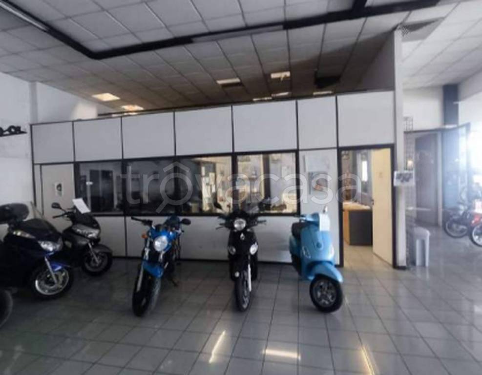 immagine annuncio 10 di 15