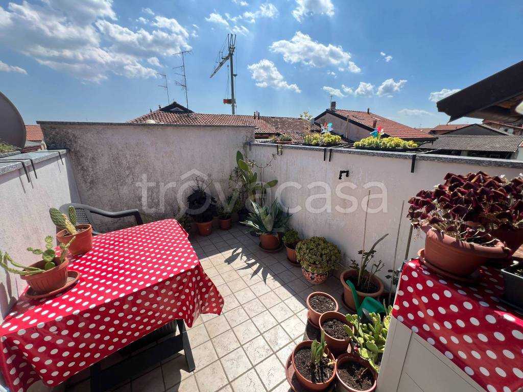 immagine annuncio 9 di 15