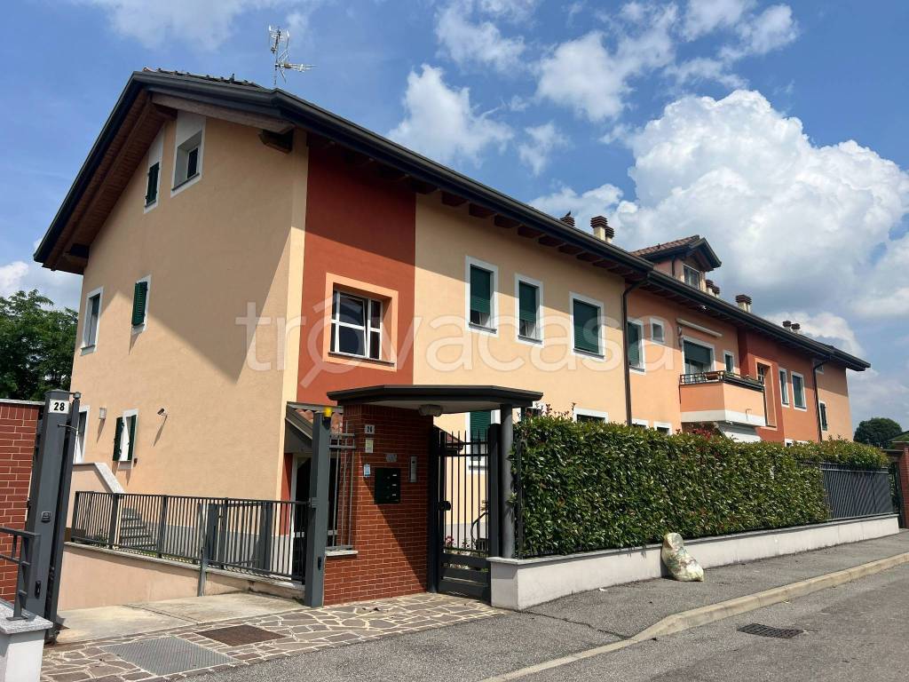 immagine annuncio 12 di 15