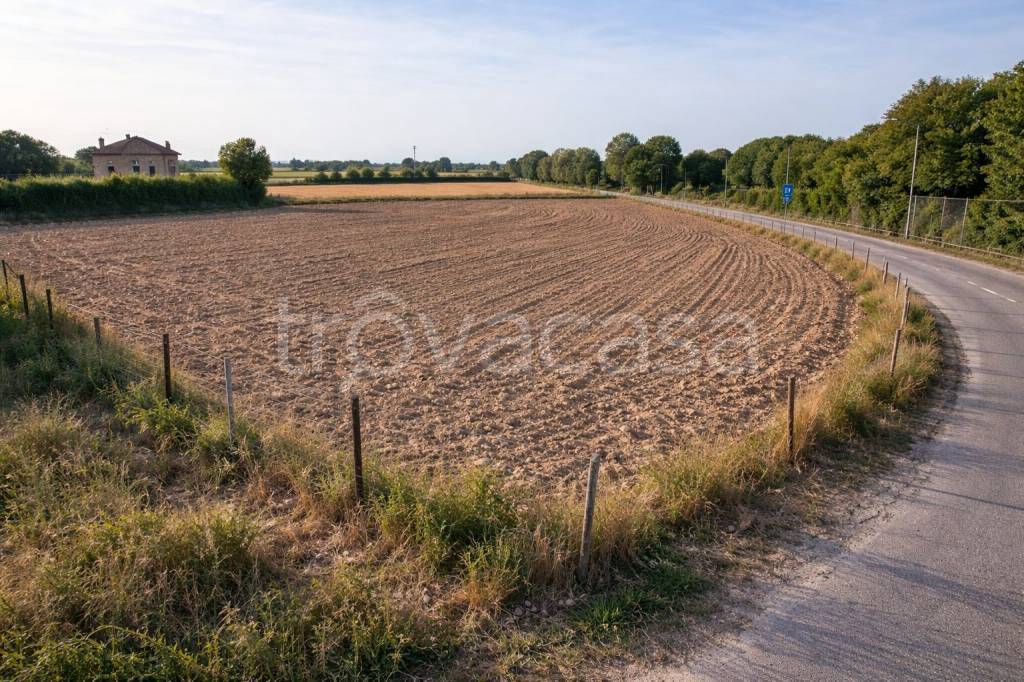 immagine annuncio 1 di 2