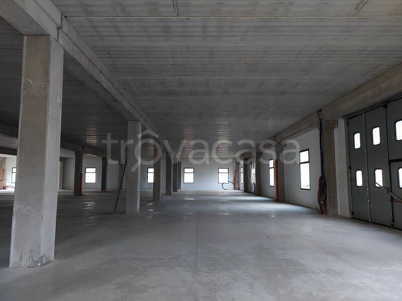 immagine annuncio 5 di 12