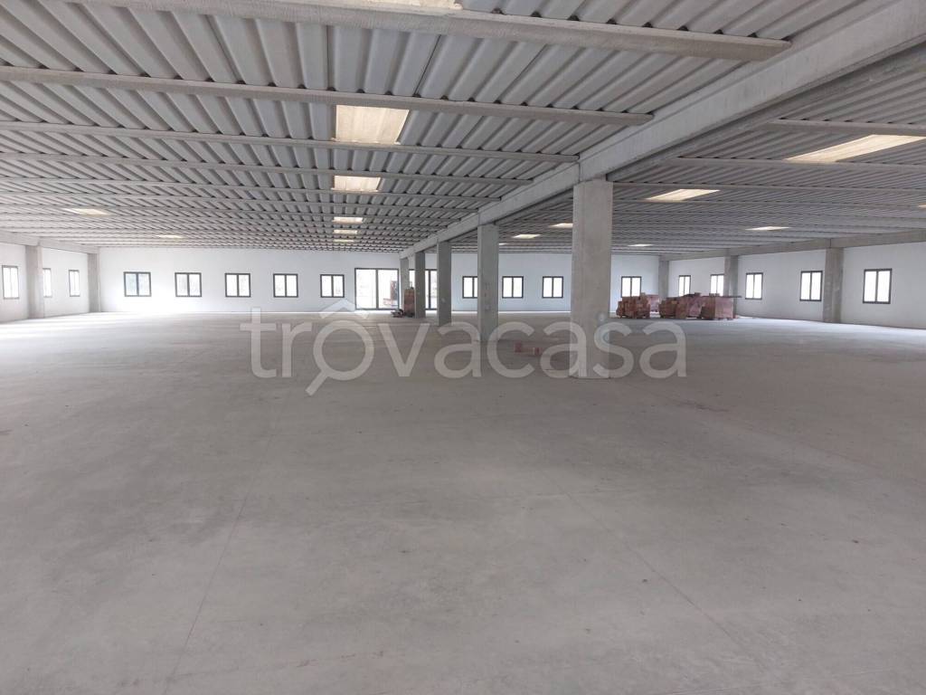 immagine annuncio 6 di 12