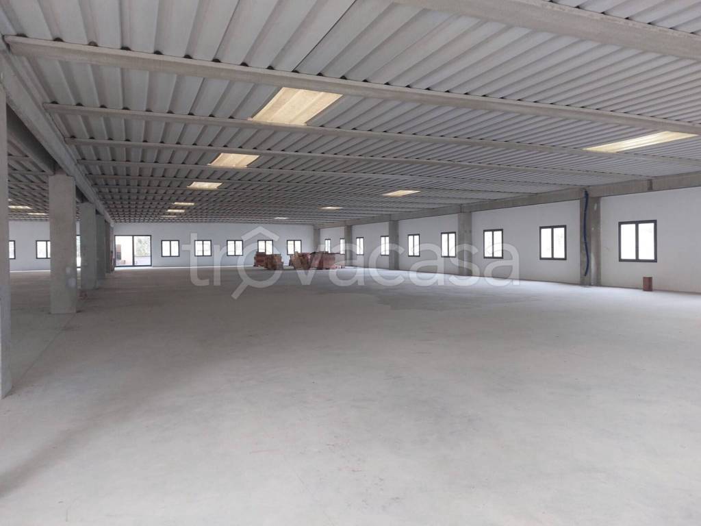 immagine annuncio 7 di 12