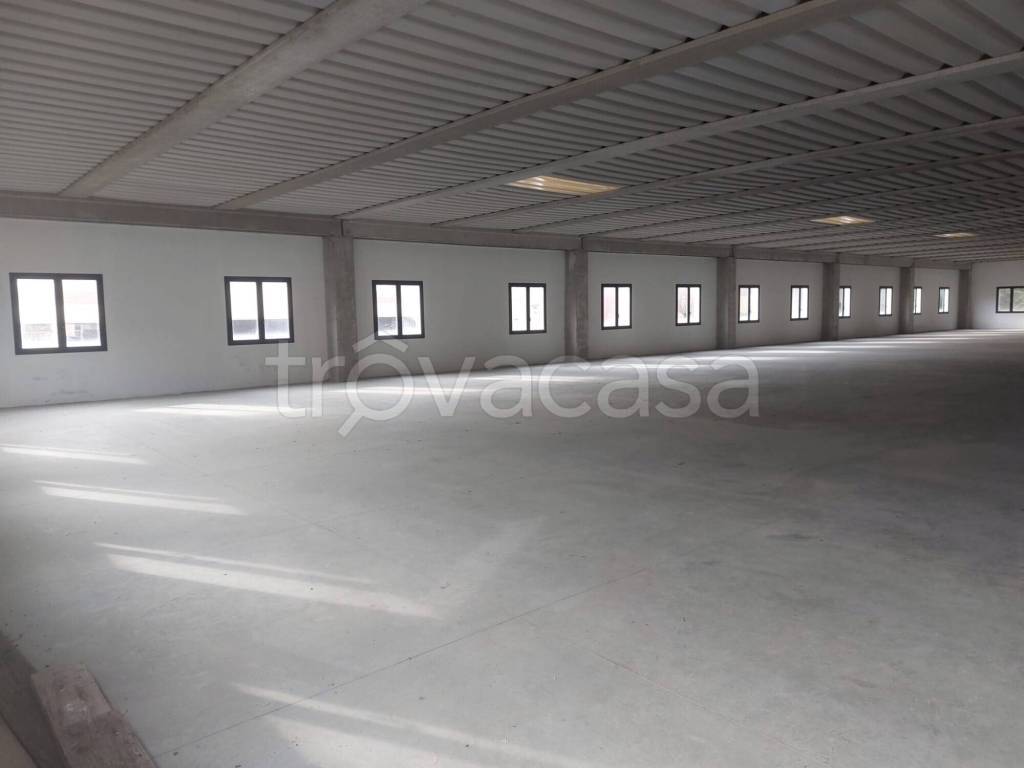 immagine annuncio 8 di 12