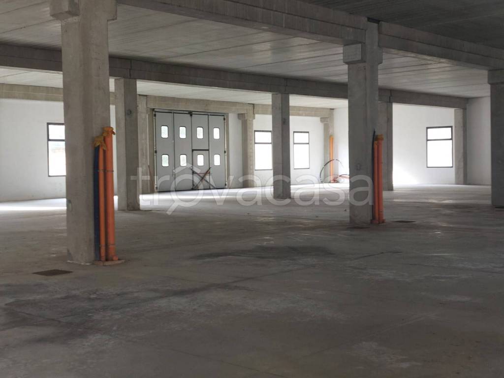 immagine annuncio 10 di 12