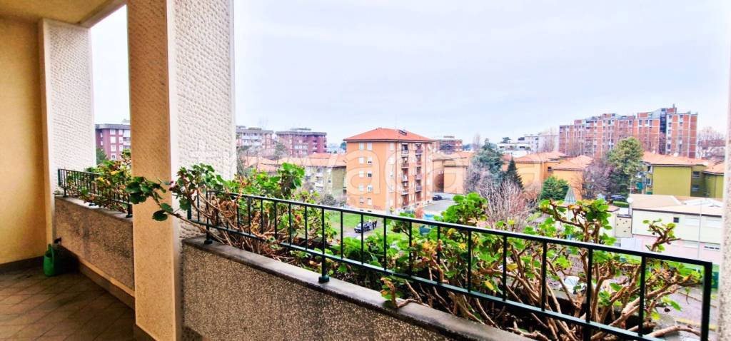 immagine annuncio 10 di 11