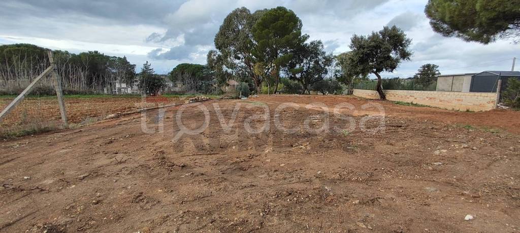 immagine annuncio 4 di 7