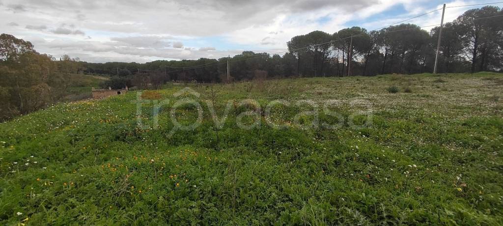 immagine annuncio 8 di 13